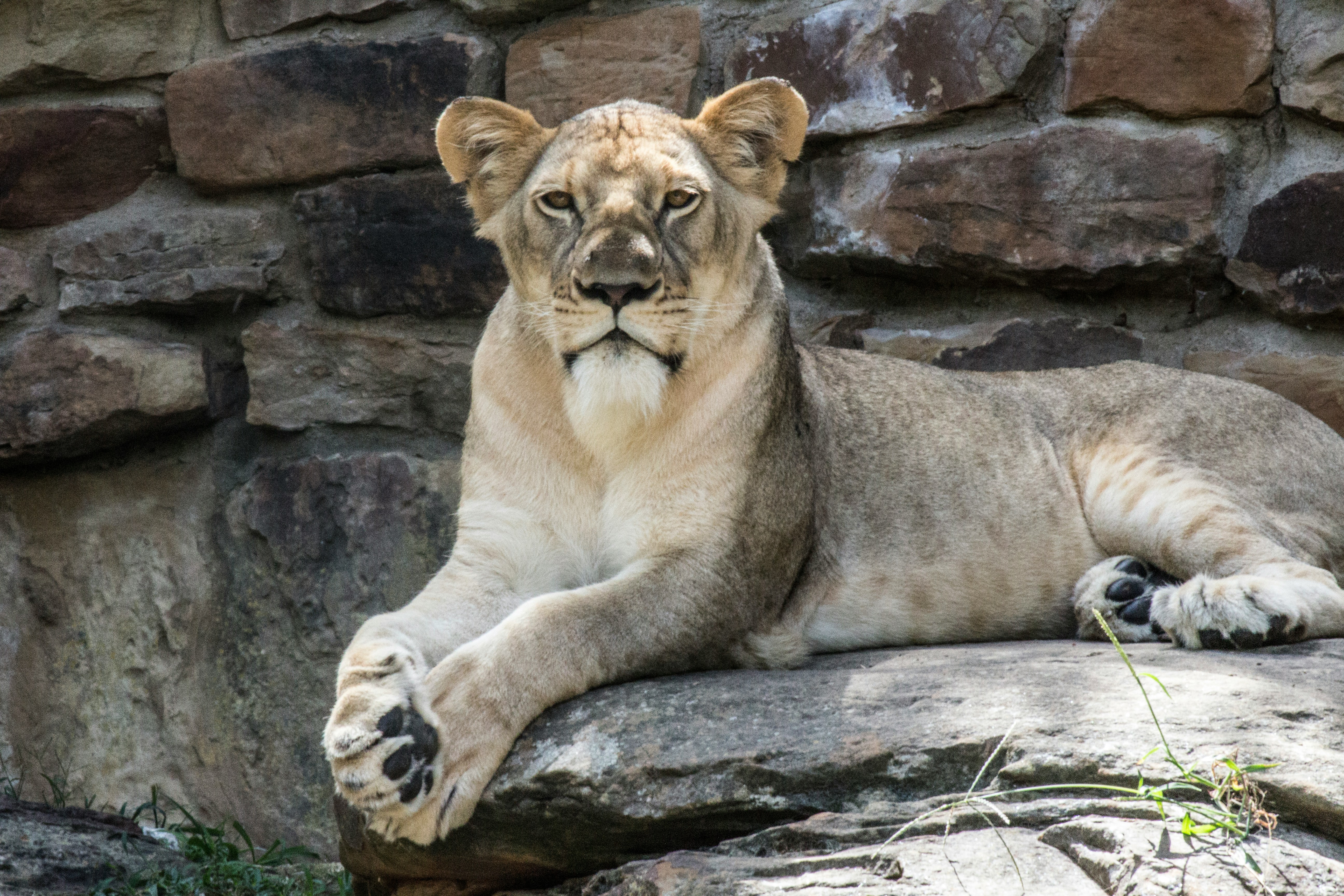 Fort Worth Zoo