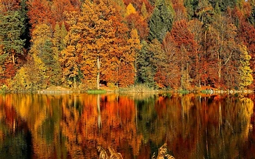 The Top 6 Fall Foliage Destinations in the United States