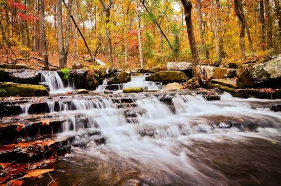 Collins Creek