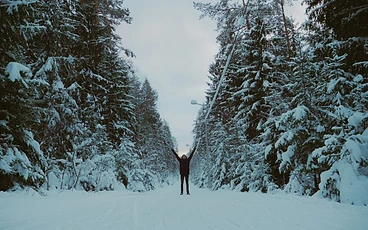 A Holiday Travel Guide to Blue Ridge, GA: Your Luxury Winter Escape with Unwind Luxury Vacations