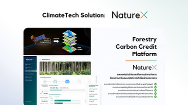 NatureX - Forestry Carbon Credit Digital Platform