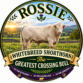 Rossie — the greatest crossing bull, Whitebred Shorthorn crest