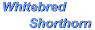 Whitebred Shorthorn — official breed society logo