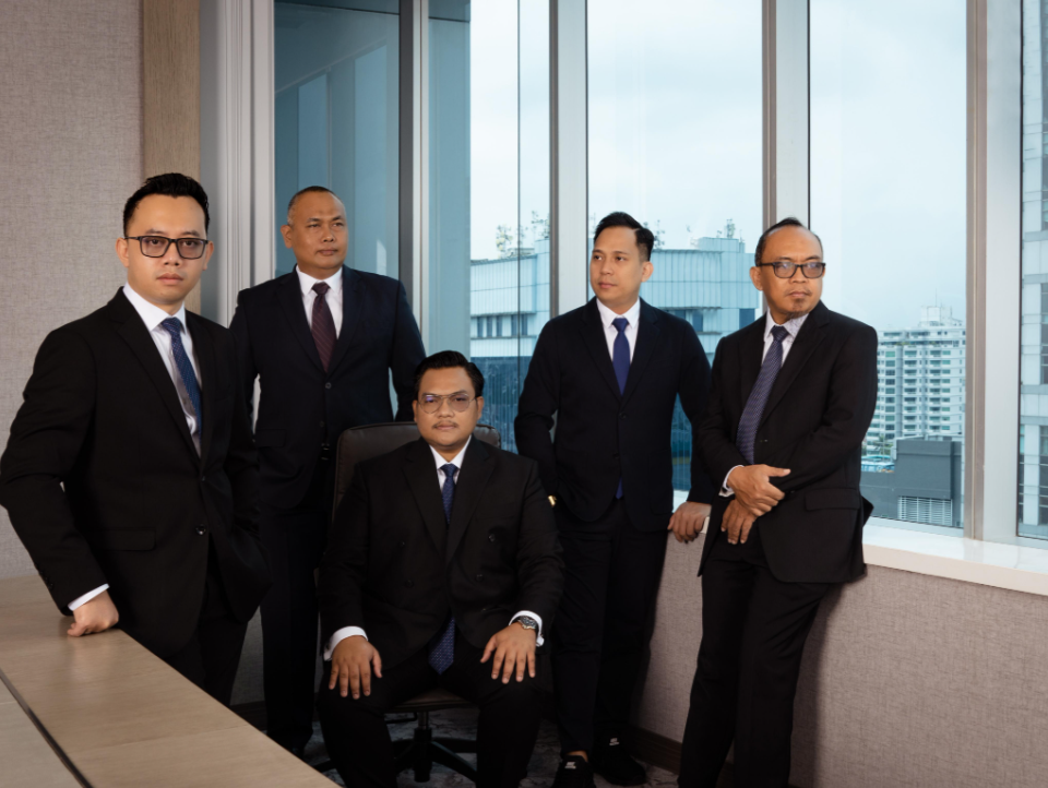 Professional Executives and Experts