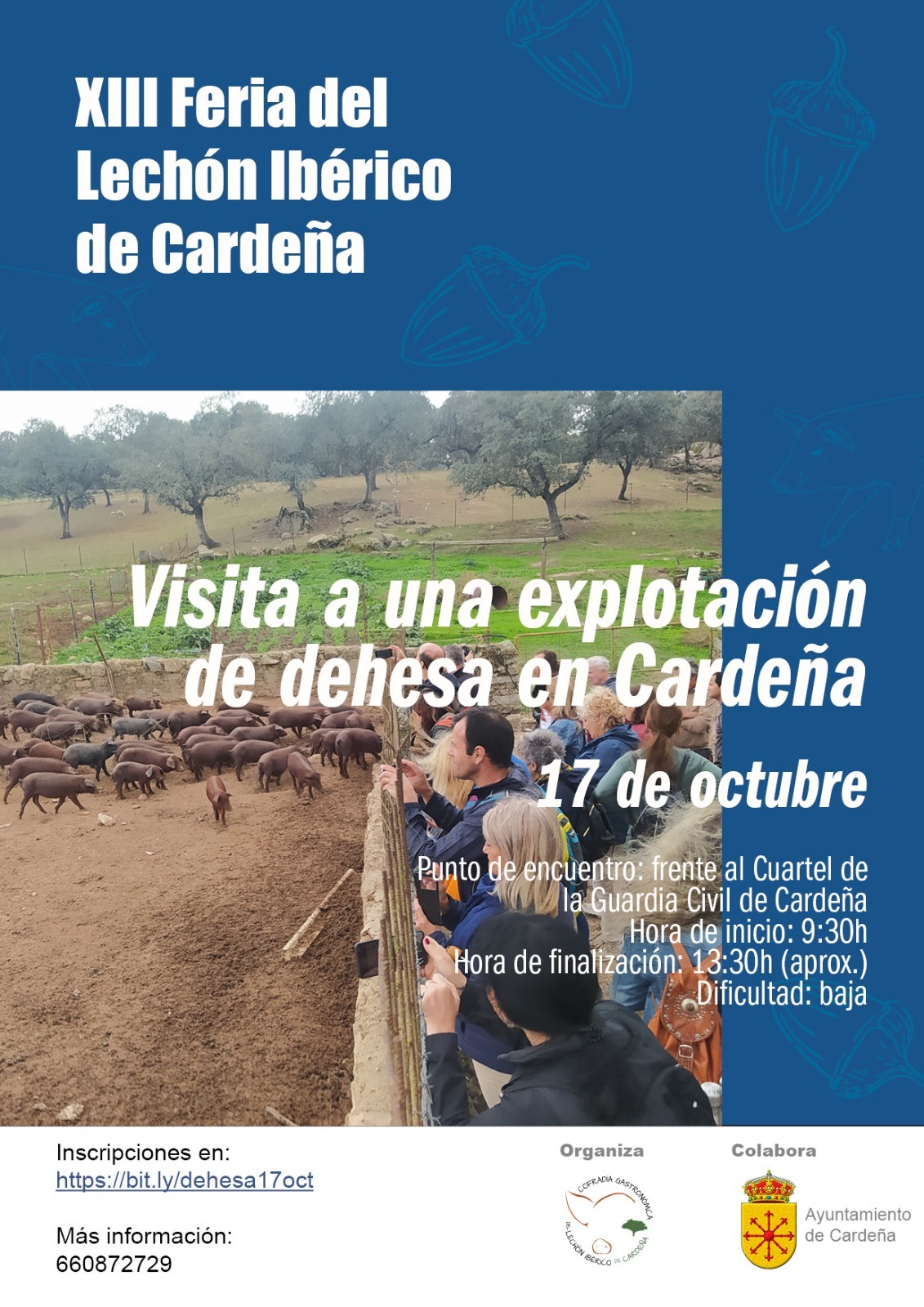 Ruta cultural 'El cerdo ibérico': Visita a una finca de dehesa