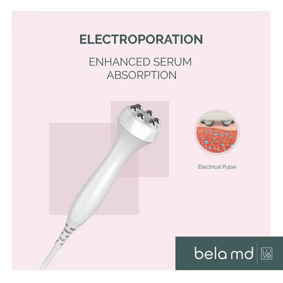 belaMD Electroporation module