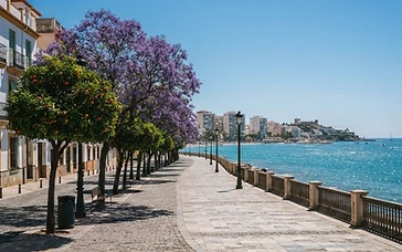 Fuengirola Expands Urban Tree Canopy Management Ahead of Autumn Rainstorms