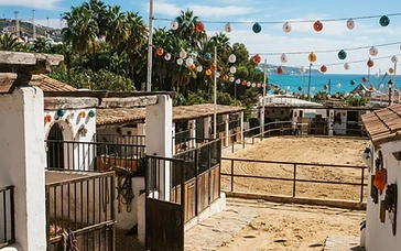 Fuengirola Marks Major Milestone as Landmark Equestrian Festival Celebrates Tradition