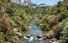Casares Launches Riverbed Ecological Restoration Plan