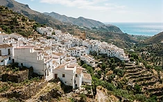 Arenas Prepares Historic Axarquía Mule Fair Celebrating Rural Andalusian Heritage