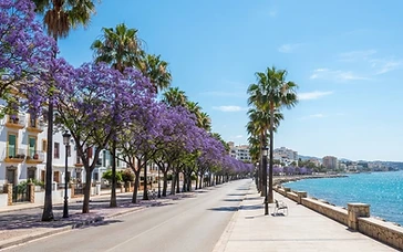 Fuengirola Steps Up Urban Pruning Programme Across Coastal Districts