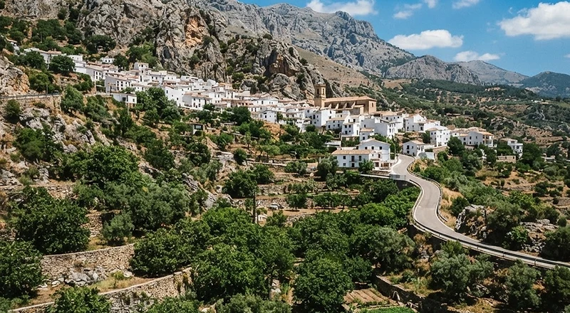Igualeja Wildfire Stabilised North of Marbella Following Rapid Overnight Evacuations