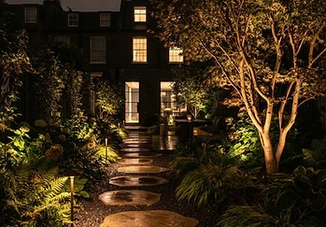 Lit London garden at night with uplit tree and pathway lights