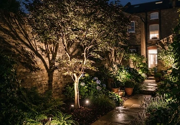 Ornamental tree uplit with warm spike uplighters in a London garden