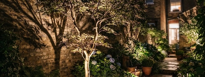 Ornamental tree uplit with warm spike uplighters in a London garden by Cutting Hedge