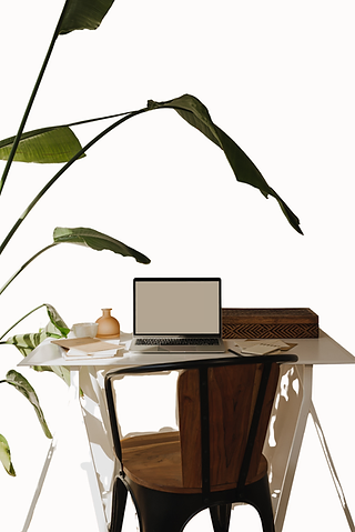 Manifesta studio workspace — a warm, quiet desk with a laptop, notebooks, and a plant