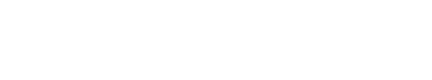 Logo 21
