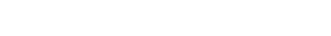 Logo 9
