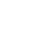 Logo 30