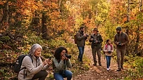 Grupo de amigos haciendo fotos en un bosque en otoño