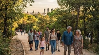 Grupo de personas caminando y conversando alegremente por un parque arbolado en Madrid durante un día soleado