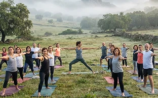 Retiros Mindfulness y Detox Digital
