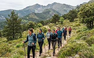 Actividad guiada Parque Nacional Sierra de Guadarrama