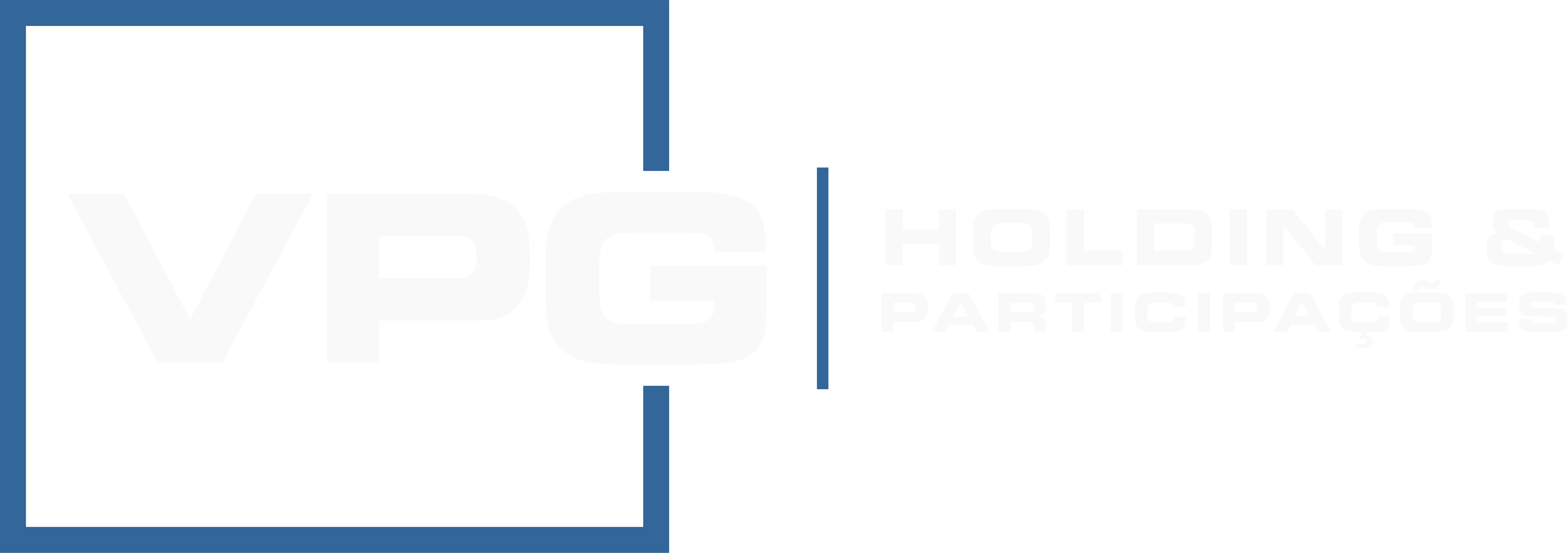 VPG Holding & Participações