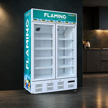 Flamino Display Refrigerator
