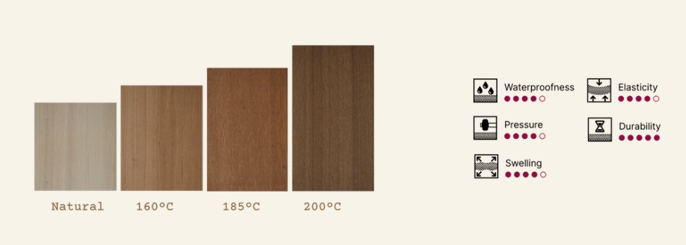 Emberline Poplar color range by treatment temperature