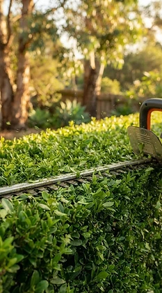 Hedge Trimming