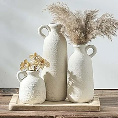Ceramic Vase Set