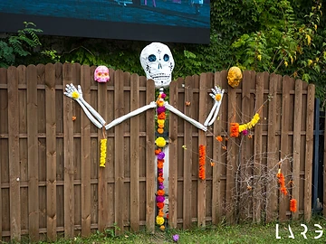 Calavera decorata con fiori di cempasúchil durante il Día de los Muertos Roma 2025.