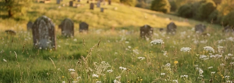 Golden hour graveside scene in Ohio