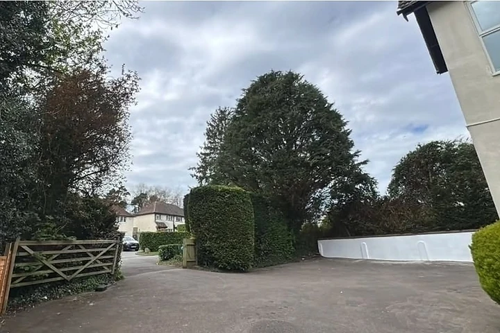 Tree Work