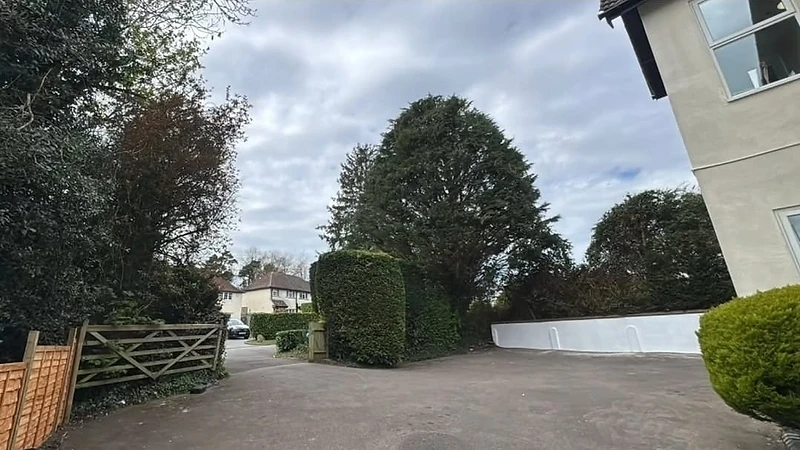 Tree Work