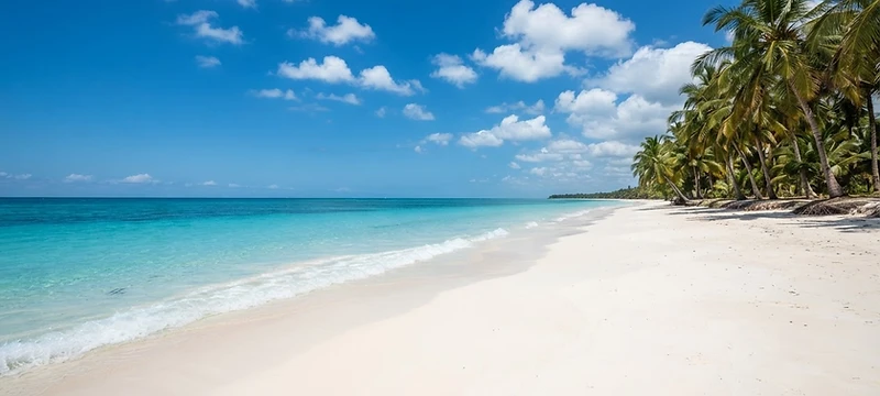 Bofa Beach