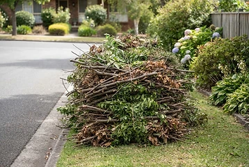 Yard waste and branches piled for debris removal