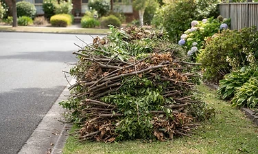 Yard waste and branches piled for debris removal