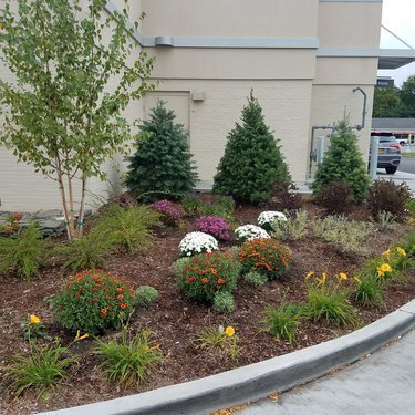 Commercial Landscaping