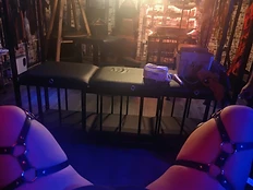 Leather harness legs by the bench