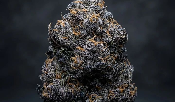 Blue Auto Mazar