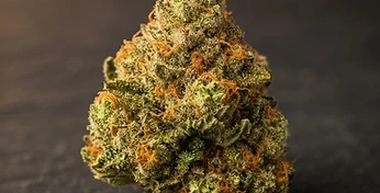Cream Mandarin Auto