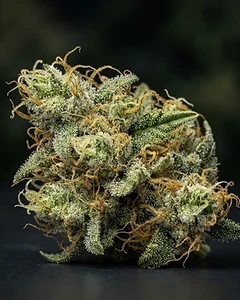 Royal Haze Auto