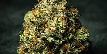 AK-47 Auto