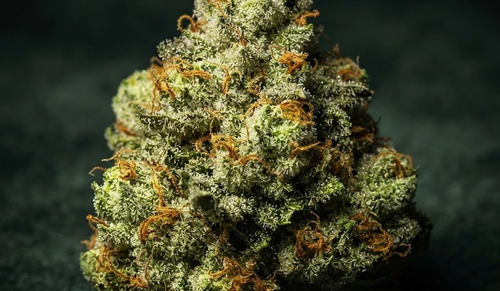 AK-47 Auto
