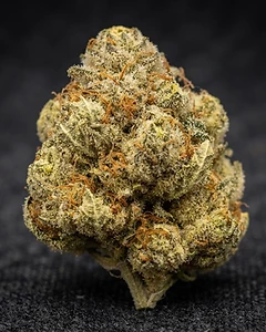 Fat Banana Auto