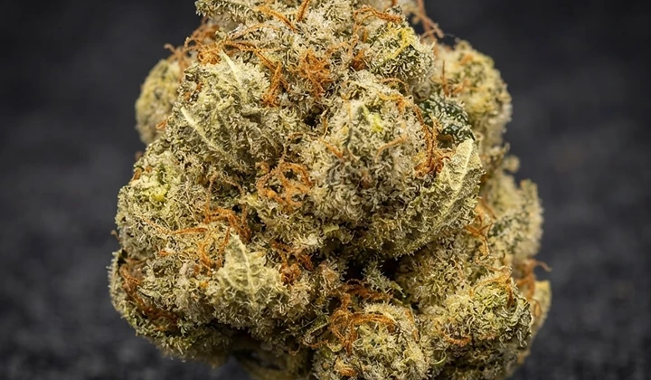 Fat Banana Auto