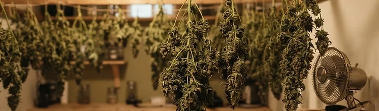 The Drying Room Blueprint: Temperature, Humidity and Airflow