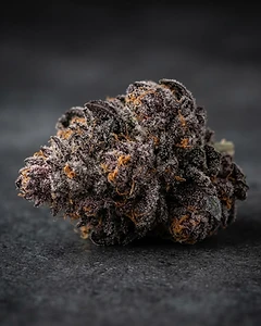 Blue Dream Auto